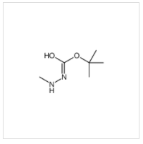 1-Boc-2-甲基肼|127799-54-6 