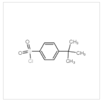 對(duì)叔丁基苯磺酰氯|15084-51-2 
