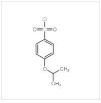 4-異丙氧基苯磺酰氯|98995-40-5 