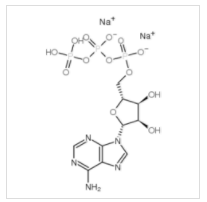 腺苷-5′-三磷酸二鈉鹽(ATP)|987-65-5 