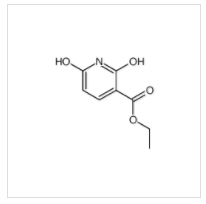 2,6-二羥基煙酸乙酯|40975-40-4 