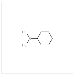 環(huán)己基硼酸|4441-56-9 