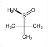S-叔丁基亞磺酰胺|343338-28-3 