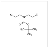N,N-雙(2-氯乙基)氨基甲酸叔丁酯|118753-70-1 