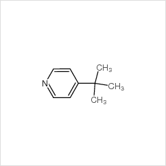 4-叔丁基吡啶/3978-81-2 