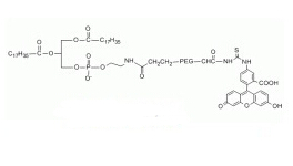 FITC-PEG-DSPE,N-二硬酯酰磷脂酰乙酰胺PEG熒光素 